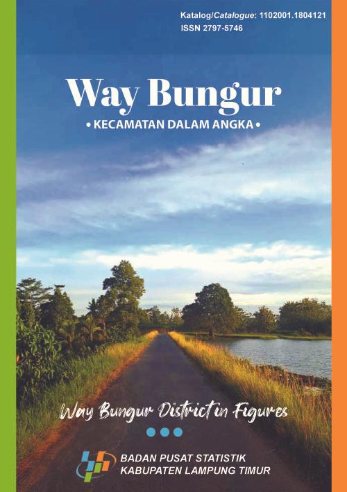 Way Bungur District in Figures 2024